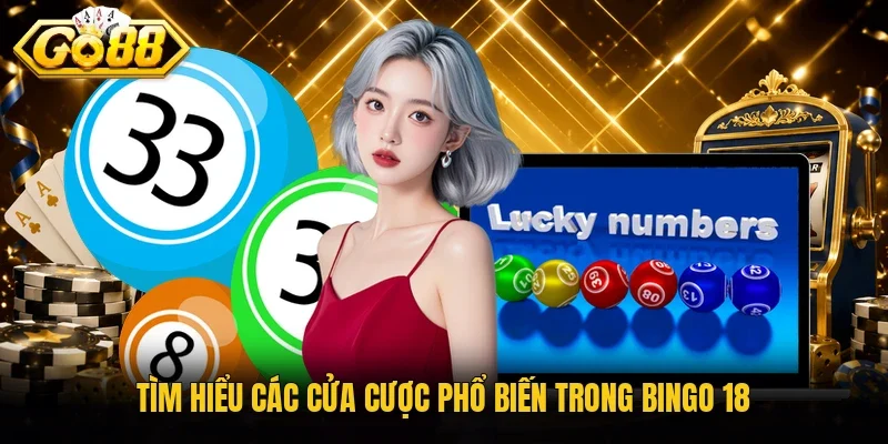 Tìm hiểu các cửa cược phổ biến trong bingo 18